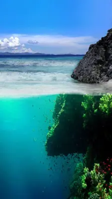 Ocean Live Wallpaper android App screenshot 5